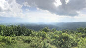View from Molly’s Knob