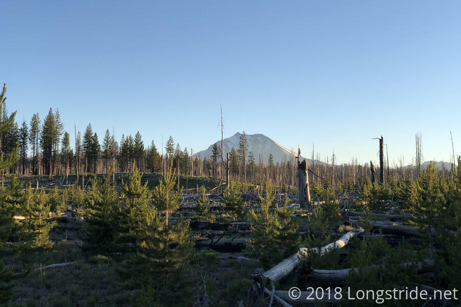 Burn Area Around Mount Lassen