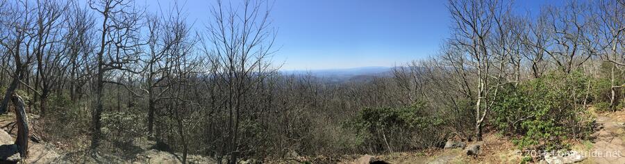 View from Springer Mountain