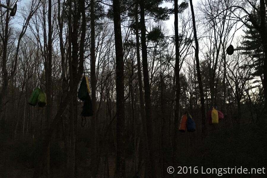 Food Bags Hung from Bear Cables