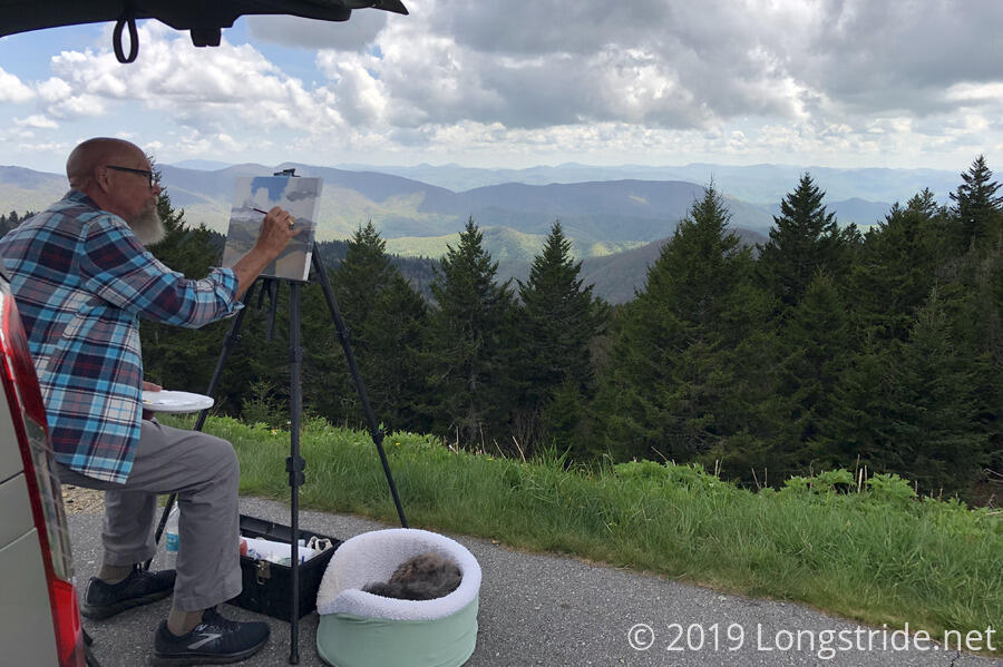 David Nelson Collins Painting Richland Balsam Overlook