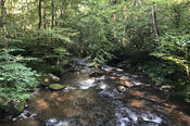 Noland Creek