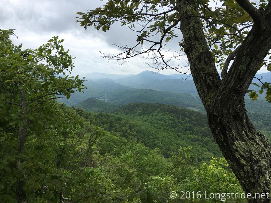 View from Cove Mountain