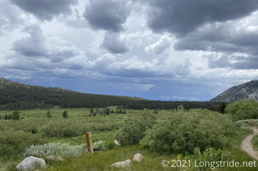 Meadow with Rainclouds