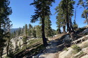 Ridge-top Trail