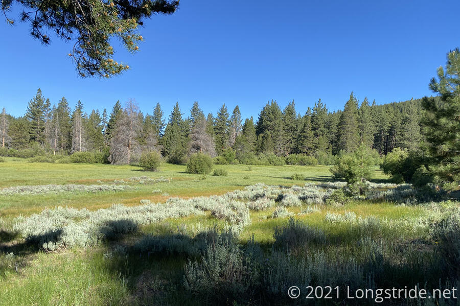 Meadow on North Canyon Road