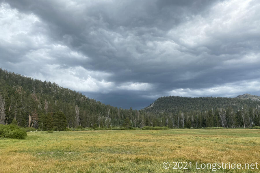 A Storm Approaches Big Meadow