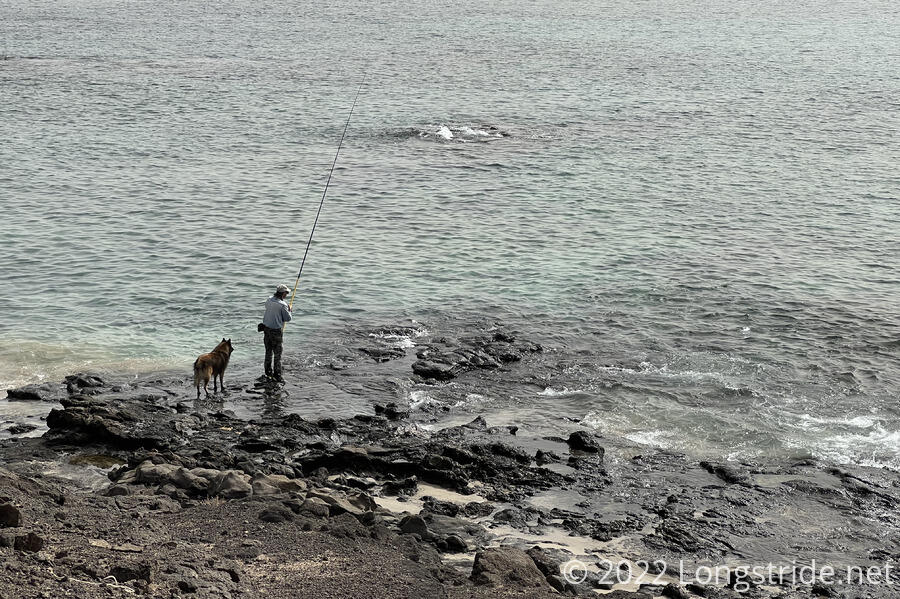 A Fisherman and His Dog