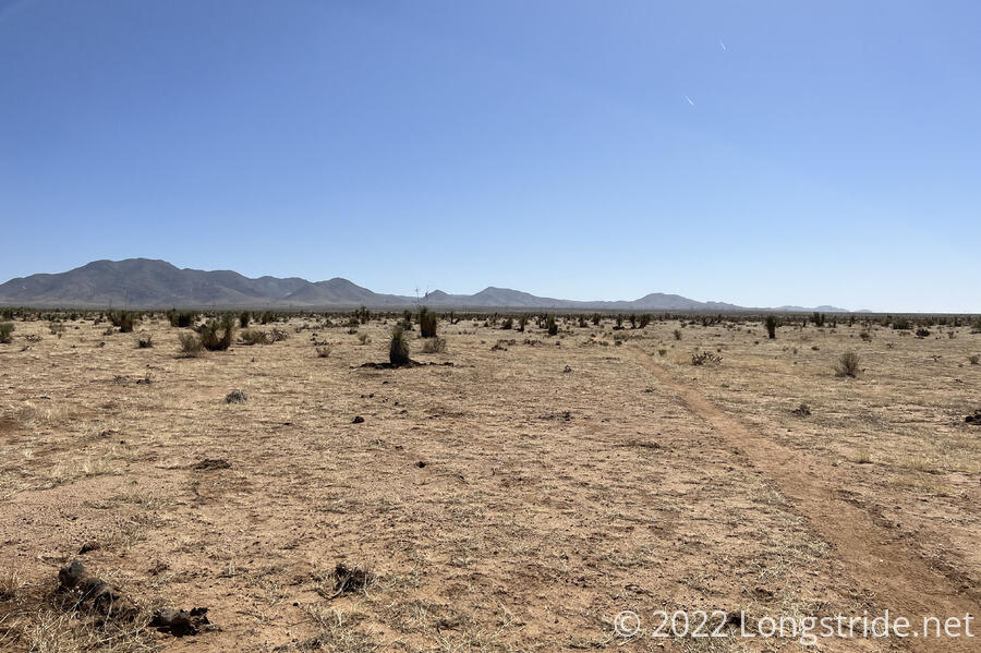 Trail Through Desert Cow Pasture