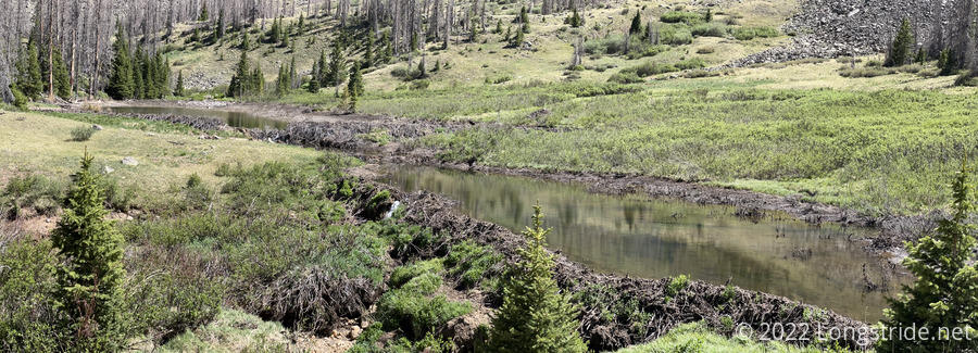 Beaver Dam on Middle Mineral Creek