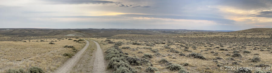 A Road Through Sagebrush and Cow Pies