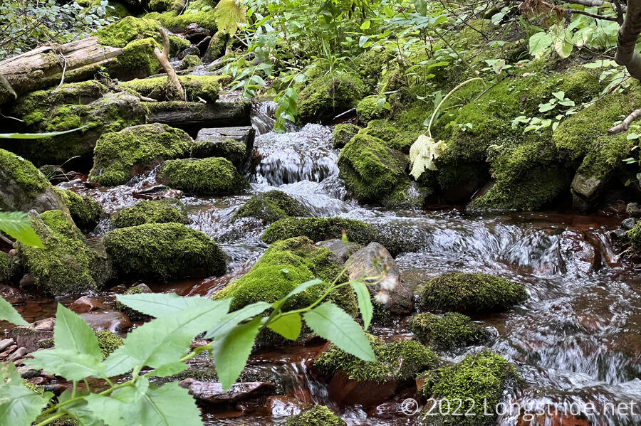 A Small Creek