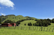 Farmhouse and Cow Pasture