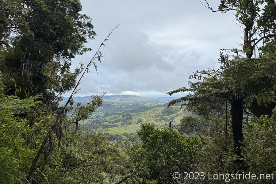 View from the Takahue Saddle