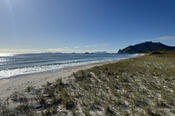 Ocean Beach and Bream Head