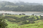 Puhoi River