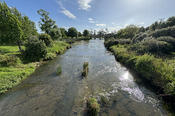 Slippery Creek