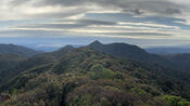 View from Pirongia