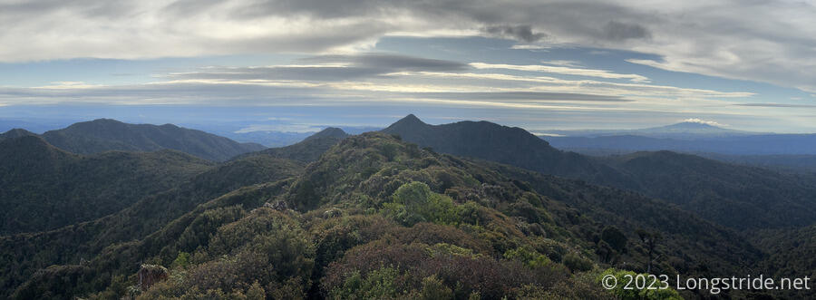 View from Pirongia