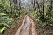 A Rutty ATV Track