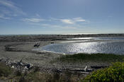 Whangaehu Beach