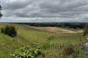 Rolling Hills on the Way to Fielding