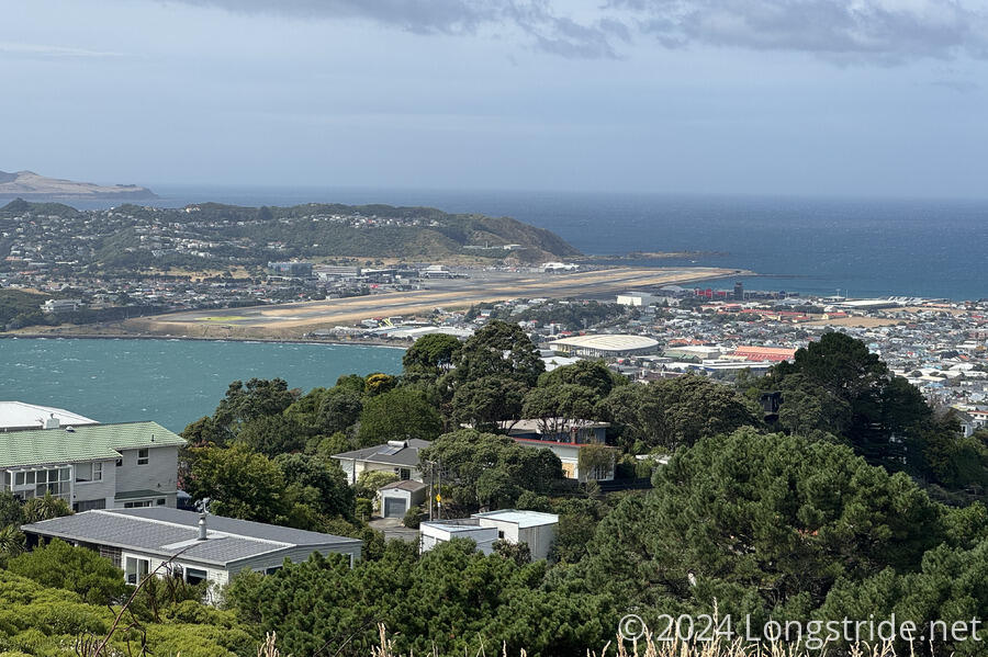View South from the Mount Victoria Lookout