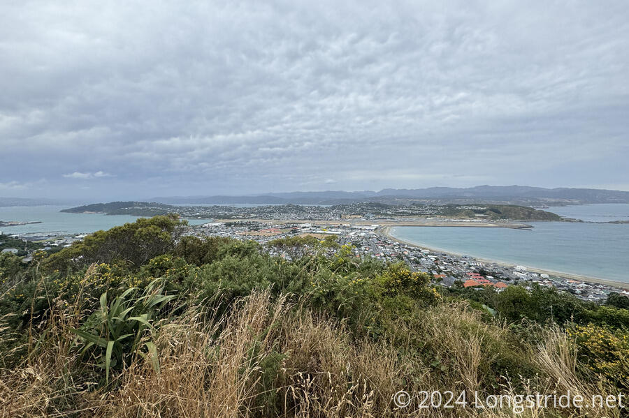 View from Mount Albert
