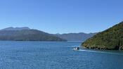 Entering the Queen Charlotte Sound