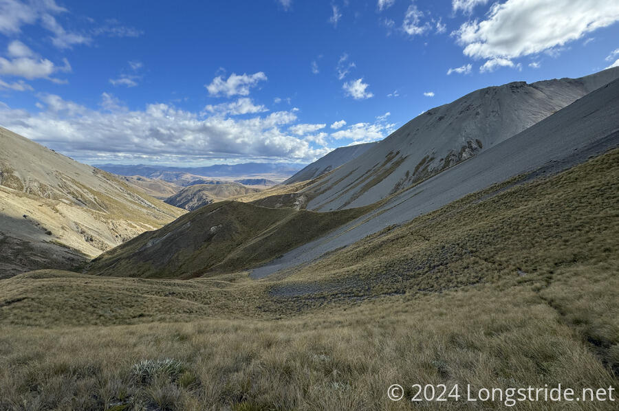 Tussock and Scree