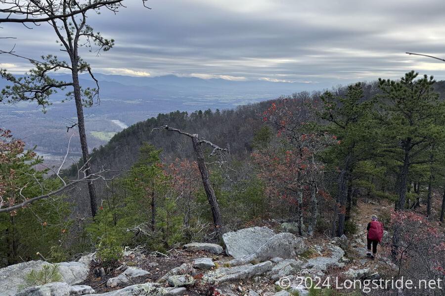 Ridgetop Hike