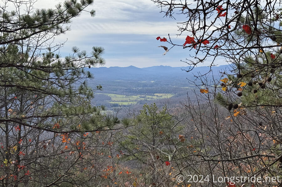 Fort Valley Overlook