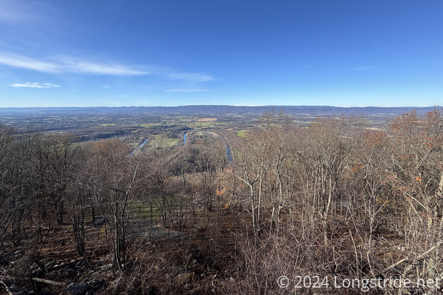 View from Woodstock Tower