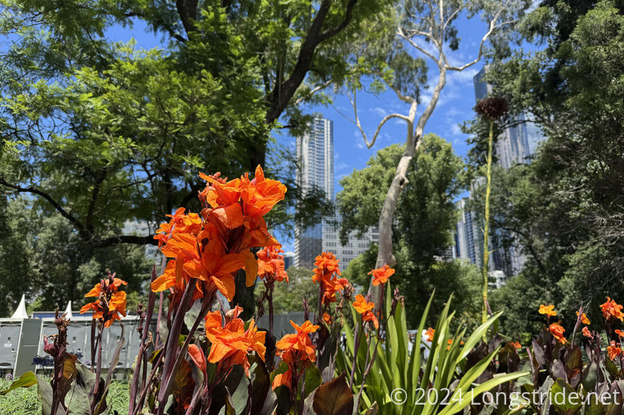 Flagstaff Gardens