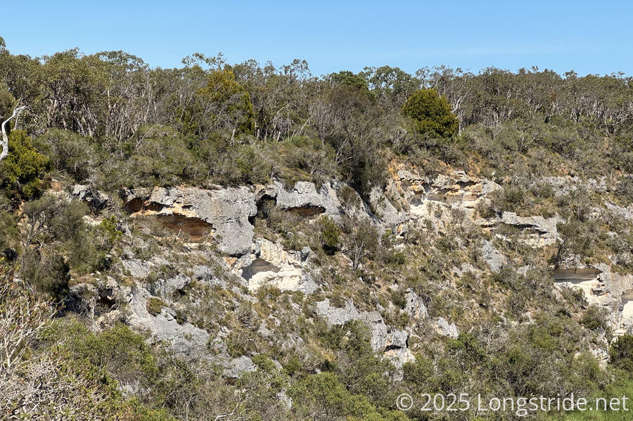 Eroding Linestone Cliffs