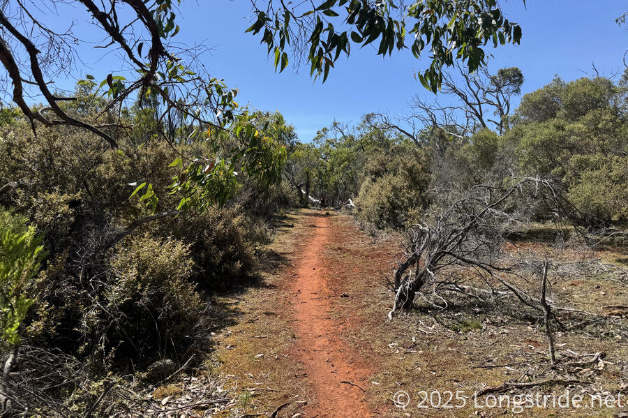 Red Trail