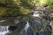 Cooper Brook Falls