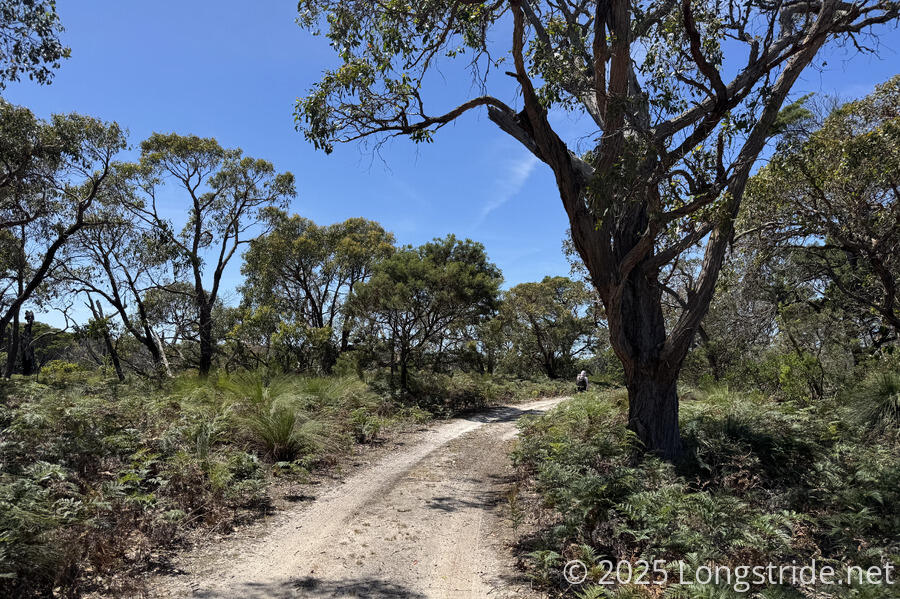 Sandy Trail