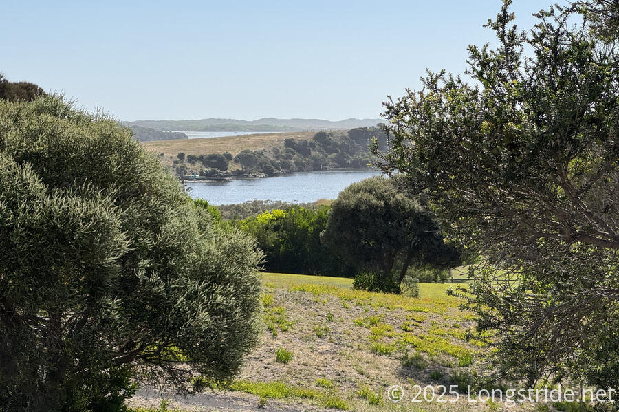 View from Lookout Hill