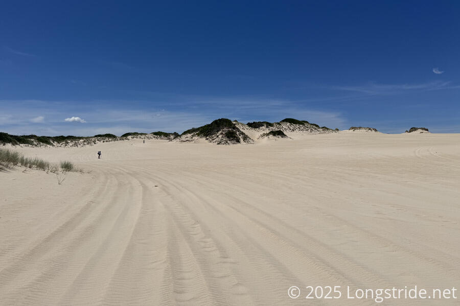 The Dunes