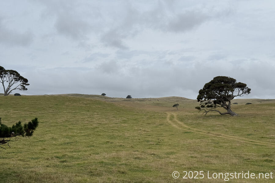 Farmland