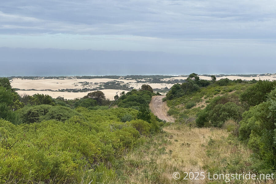 A Look Back at Discovery Bay