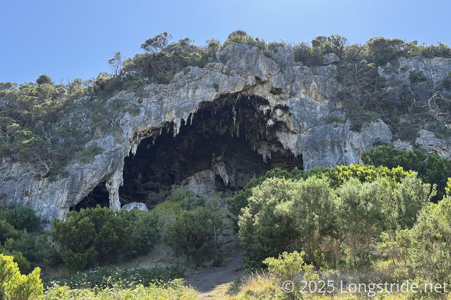 Tarragal Cave