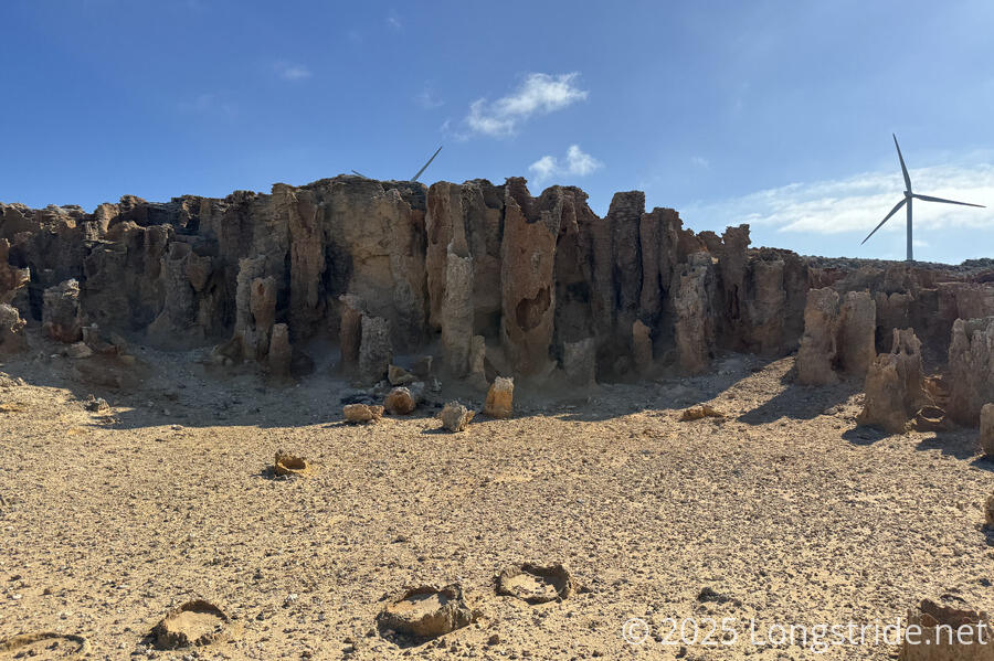 Petrified Forest