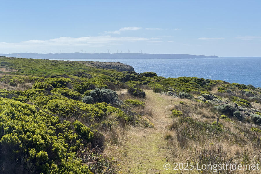 Cape Nelson