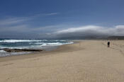 CareFree Walks Along Johanna Beach