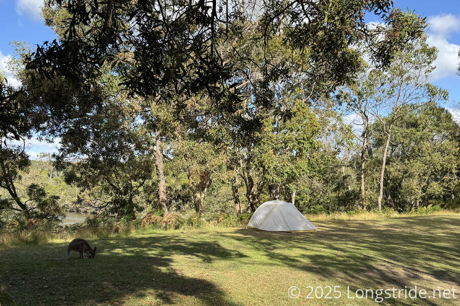 Moleside Camp