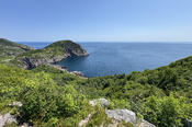 Cuckolds Cove