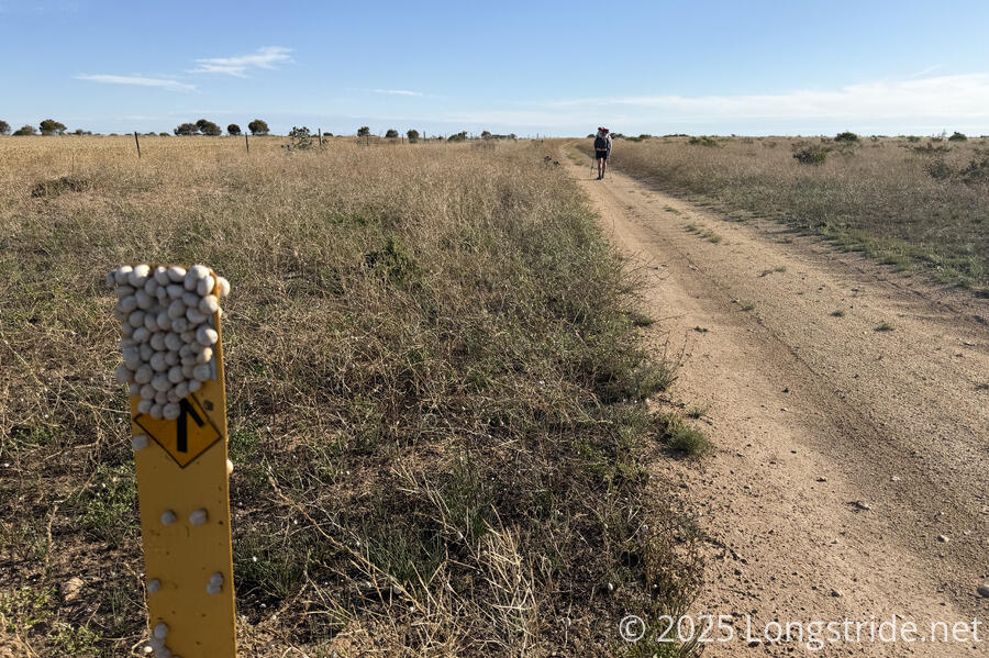 Snails Climb a Walk the Yorke Trail Marker