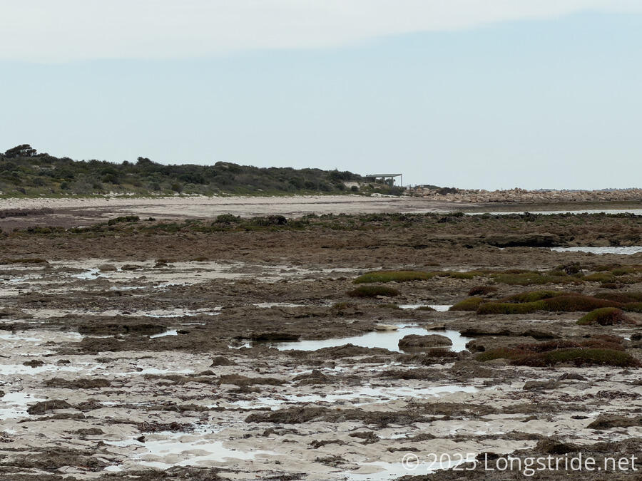 Port Minlacowie Intertidal Zone